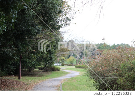 穏やかな散策路　秋の落ち葉のある公園 132256328