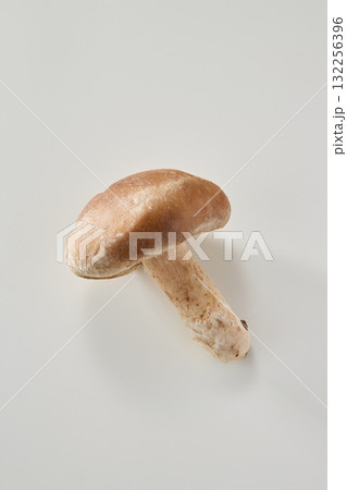 椎茸 椎茸 132256396