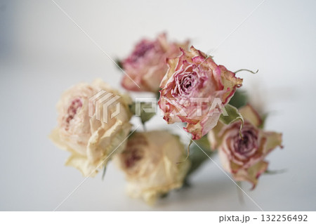 時を重ねたバラのドライフラワー｜アンティークのような色のバラ 132256492