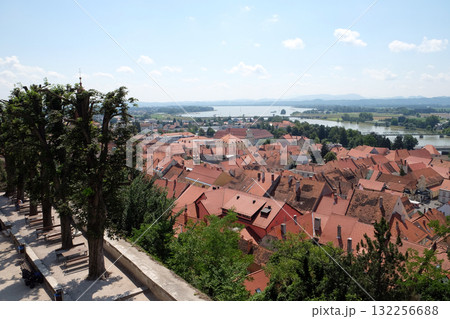 Ptuj, town on the Drava River banks, Lower Styria Region, Slovenia 132256688