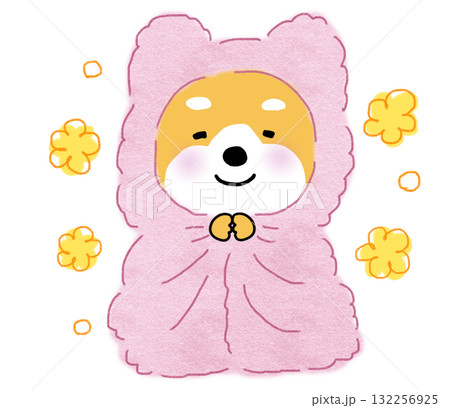 暖かいピンクの毛布に包まり、ぬくぬくと幸せなしばいぬ 132256925