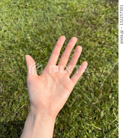 Hand reaches upward in nature. Open palm with outstretched fingers shows human gesture against sunny 132257301