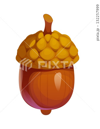 Cartoon autumn fall season acorn, oak tree seed. Isolated vector forest vegetation plant, fallen wood foliage. Woodland plant, brown nut from the oak tree, feature glossy shell and bumpy cap Cartoon autumn fall season acorn, oak tree seed. Isolated vector forest vegetation plant, fallen wood foliage. Woodland plant, brown nut from the oak tree, feature glossy shell and bumpy cap 132257999