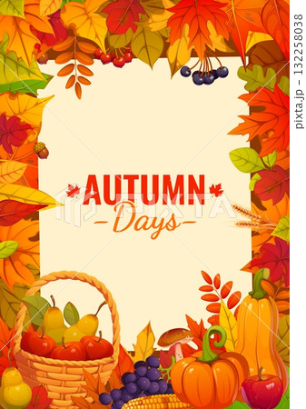 Autumn days fall season holiday vector poster with maple, birch and oak leaves, pumpkins and butternut squash, fruits, grapes, corn cob, mushrooms and berries. Cartoon Thanksgiving autumn banner 132258038
