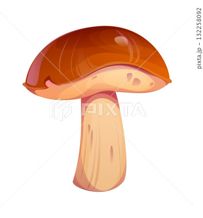 Cartoon autumn mushroom, isolated vector wild forest plant showcasing fresh, brown, edible cap. Seasonal porcini or boletus fungus, fall season harvest, natural vegetarian food, woodland environment Cartoon autumn mushroom, isolated vector wild forest plant showcasing fresh, brown, edible cap. Seasonal porcini or boletus fungus, fall season harvest, natural vegetarian food, woodland environment 132258092