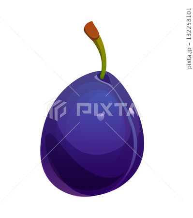 Cartoon raw ripe plum fruit. Isolated vector healthy summer food, sweet and juicy dessert, vegetarian nutrition, fresh garden plant. Bright and glossy damson with deep purple skin and a green stem Cartoon raw ripe plum fruit. Isolated vector healthy summer food, sweet and juicy dessert, vegetarian nutrition, fresh garden plant. Bright and glossy damson with deep purple skin and a green stem 132258101