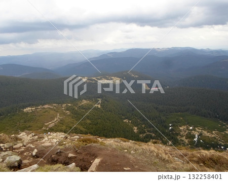 Expansive Mountain Vista with Evergreen Forests and Distant Snowy Peaks 132258401