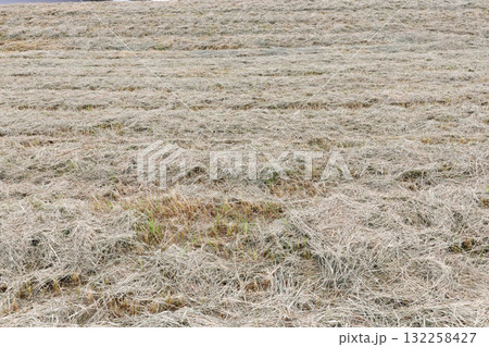 刈られた雑草 132258427