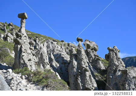 Stone mushrooms natural rock formations in the Altai Reserve 132258811