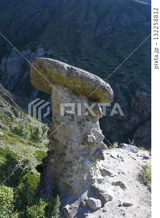 Natural rock formations stone mushrooms in Altai Republic, Russia 132258812