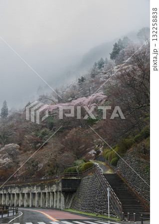 霧と春雪にけむる奥多摩湖　見はらしの丘 132258838