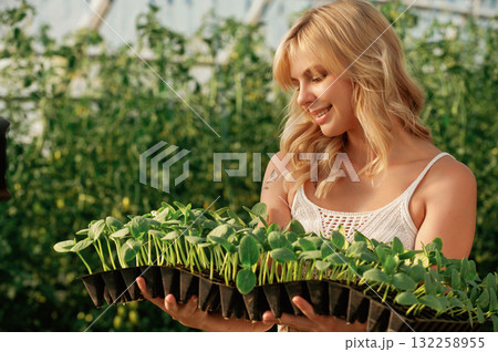 Plants in the row. In plastic pots. Holding in hands. Beautiful woman is in the greenhouse Plants in the row. In plastic pots. Holding in hands. Beautiful woman is in the greenhouse 132258955