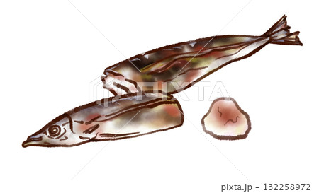 サンマの塩焼きと大根おろしのイラスト(墨ペン水彩風) サンマの塩焼きと大根おろしのイラスト(墨ペン水彩風) 132258972