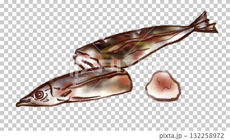 サンマの塩焼きと大根おろしのイラスト(墨ペン水彩風) サンマの塩焼きと大根おろしのイラスト(墨ペン水彩風) 132258972