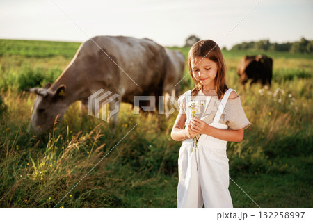 Cows are behind. Holding flowers. Cute little girl is on the farm 132258997