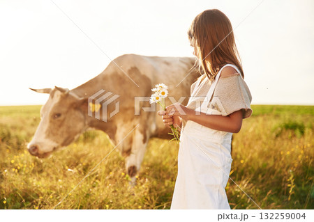 Holding flowers. Cow is behind. Cute little girl is on the farm 132259004