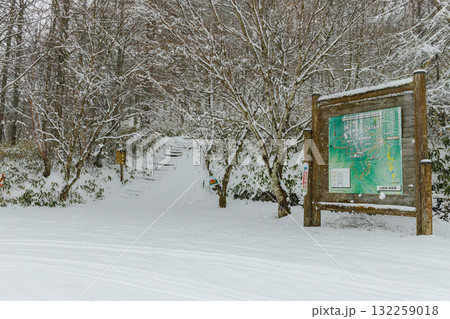 雪の柳沢峠 雪の柳沢峠 132259018