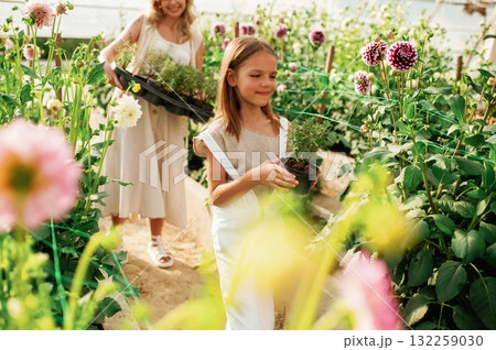 Working together. Mother and daughter are in the greenhouse Working together. Mother and daughter are in the greenhouse 132259030
