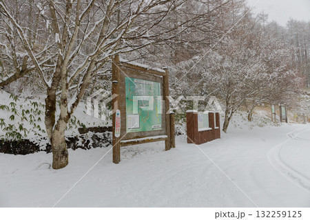 雪の柳沢峠 132259125