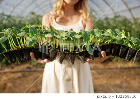 Plants in plastic little pots. Beautiful woman is in the greenhouse Plants in plastic little pots. Beautiful woman is in the greenhouse 132259510