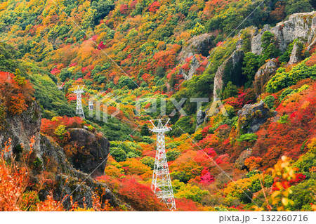 【香川県】最盛期の寒霞渓の紅葉 132260716