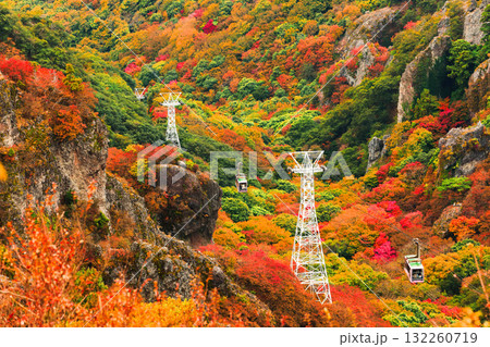 【香川県】最盛期の寒霞渓の紅葉 【香川県】最盛期の寒霞渓の紅葉 132260719