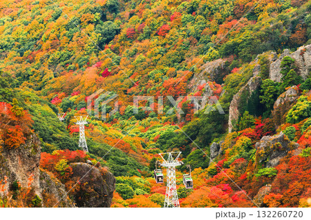 【香川県】最盛期の寒霞渓の紅葉 132260720