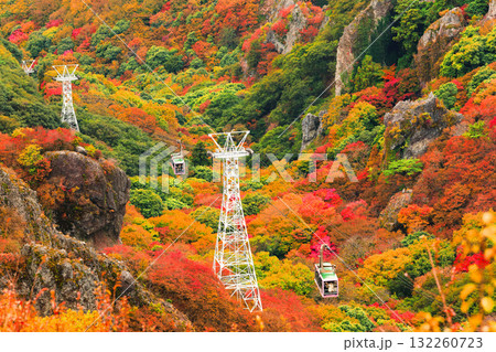 【香川県】最盛期の寒霞渓の紅葉 132260723