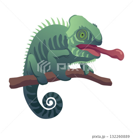 Chameleon lizard. Reptiles with curved tail and camouflage skin, tropical wildlife. Vector exotic animal illustration Chameleon lizard. Reptiles with curved tail and camouflage skin, tropical wildlife. Vector exotic animal illustration 132260889