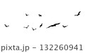 A Flock of Silhouetted Birds in Majestic Flight Across the Sky 132260941
