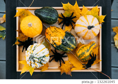 Top-down view of assorted decorative gourds in a wooden tray with yellow leaves and fuzzy black spiders on dark surface. Seasonal fusion, Halloween meets autumn, eclectic styling, mixed-theme visuals 132261045