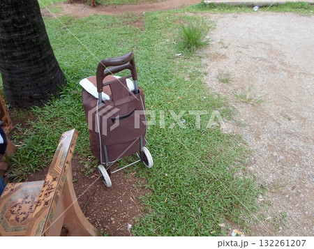 A Park Bench Beside a Trolley Bag on a Grassy Area with a Palm Tree Nearby 132261207