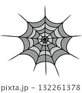 Spider web  132261378