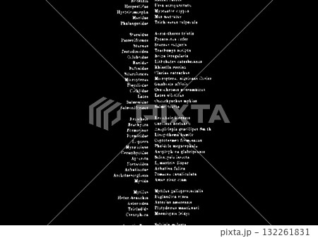 映画のエンドロール風リスト背景 132261831