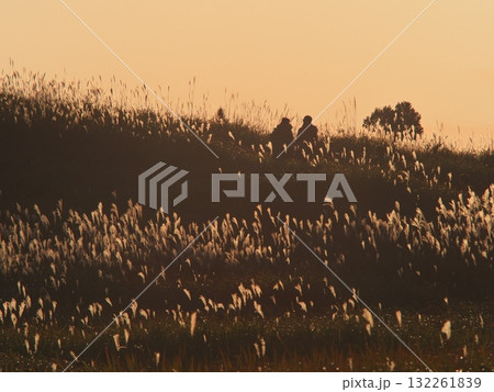 秋の曽爾高原　夕日とススキに囲まれた遊歩道を歩くカップル 132261839