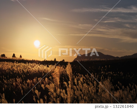秋の曽爾高原からススキ越しに夕日を臨む 秋の曽爾高原からススキ越しに夕日を臨む 132261840