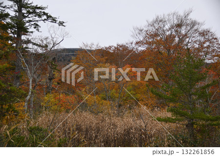 秋の西吾妻山 秋の西吾妻山 132261856