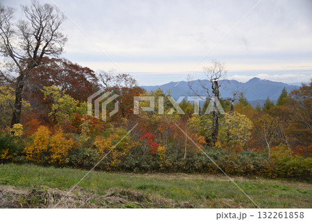秋の西吾妻山 132261858