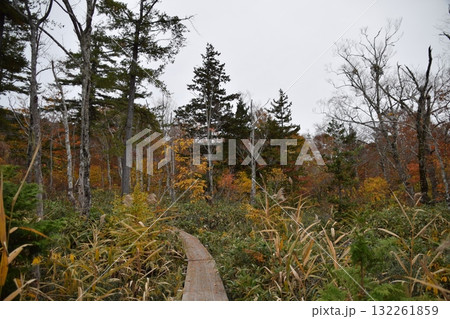 秋の西吾妻山 132261859