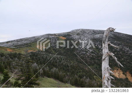 秋の西吾妻山 132261863