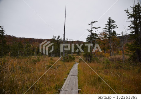 秋の西吾妻山 132261865