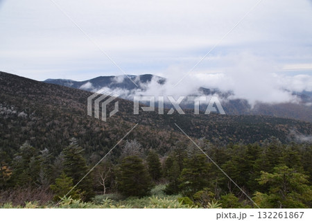 秋の西吾妻山 秋の西吾妻山 132261867