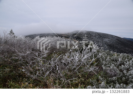 秋の西吾妻山 132261883