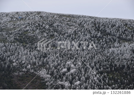 秋の西吾妻山 秋の西吾妻山 132261886