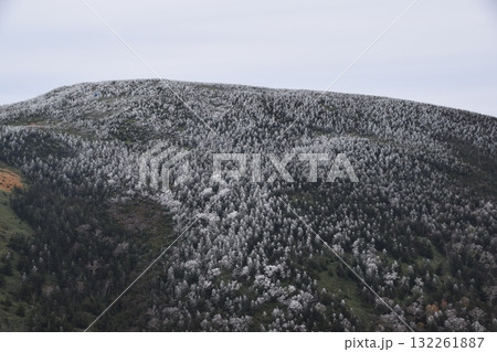 秋の西吾妻山 秋の西吾妻山 132261887