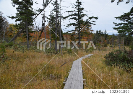 秋の西吾妻山 132261893