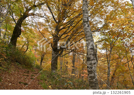 秋の西吾妻山 秋の西吾妻山 132261905