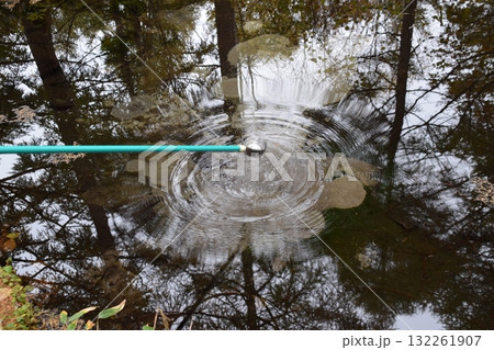 秋の西吾妻山 132261907