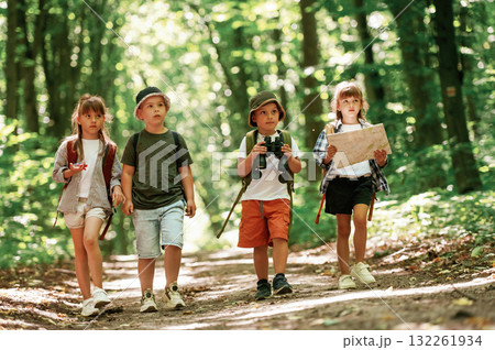 Walking together. Kids in forest at summer daytime 132261934