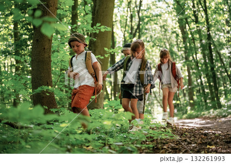 Bunch of green plants and leaves. Kids in forest at summer daytime together 132261993